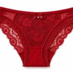 Curvini Lace Panty
